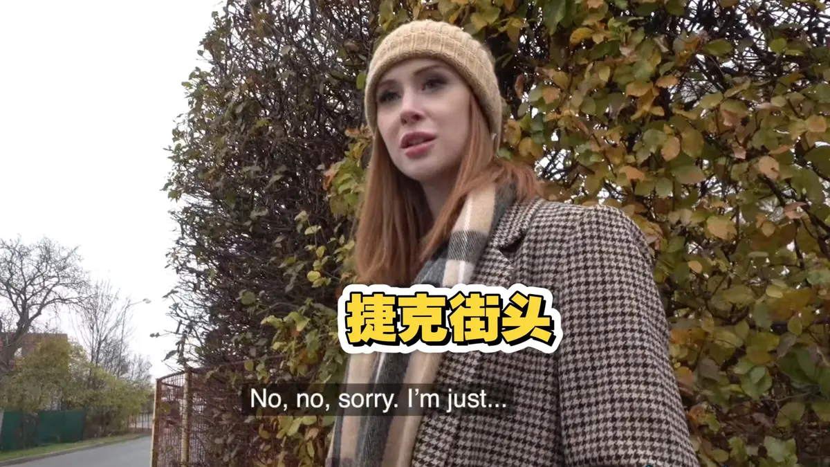 捷克街头钞能力搭讪系列电影高清全集免费在线观看无广告完整版资源