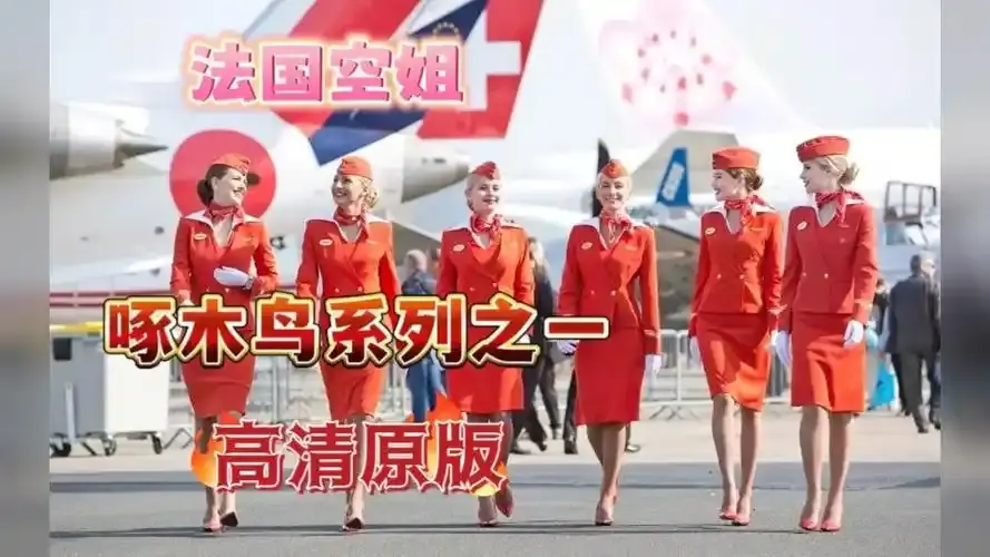 《法国空姐》资源下载-法国空姐系列合集免费观看完整版-法国空姐4超高清在线观看-法国空姐1-3季HD高清无卡顿